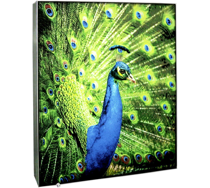 dsa-signage-fabric-light-box-portrait-peacock