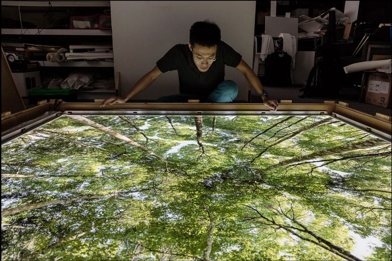 hotographer Ming Thein with his fine art forest canopy print installed in DSA's Premium LED Light Box