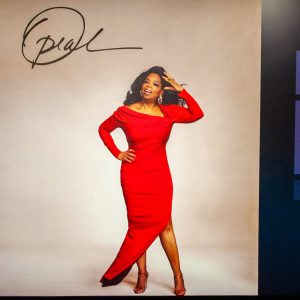 LED Lightboxes in Willis Tower